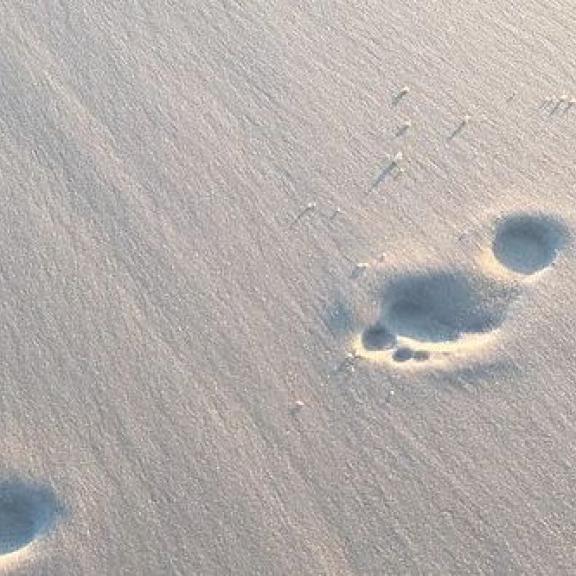 Footprints in the sand on Alabama's beaches