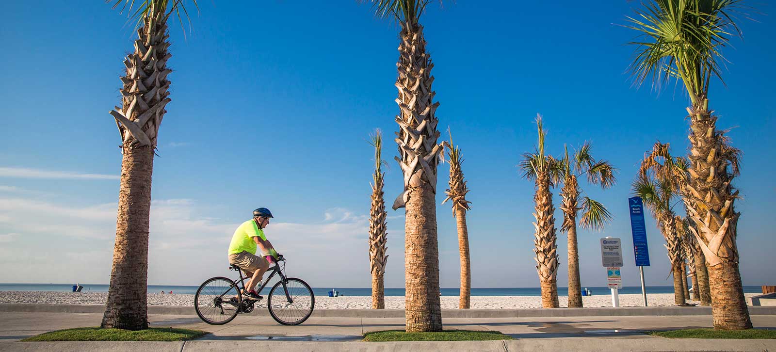 Tiki bay bike deals