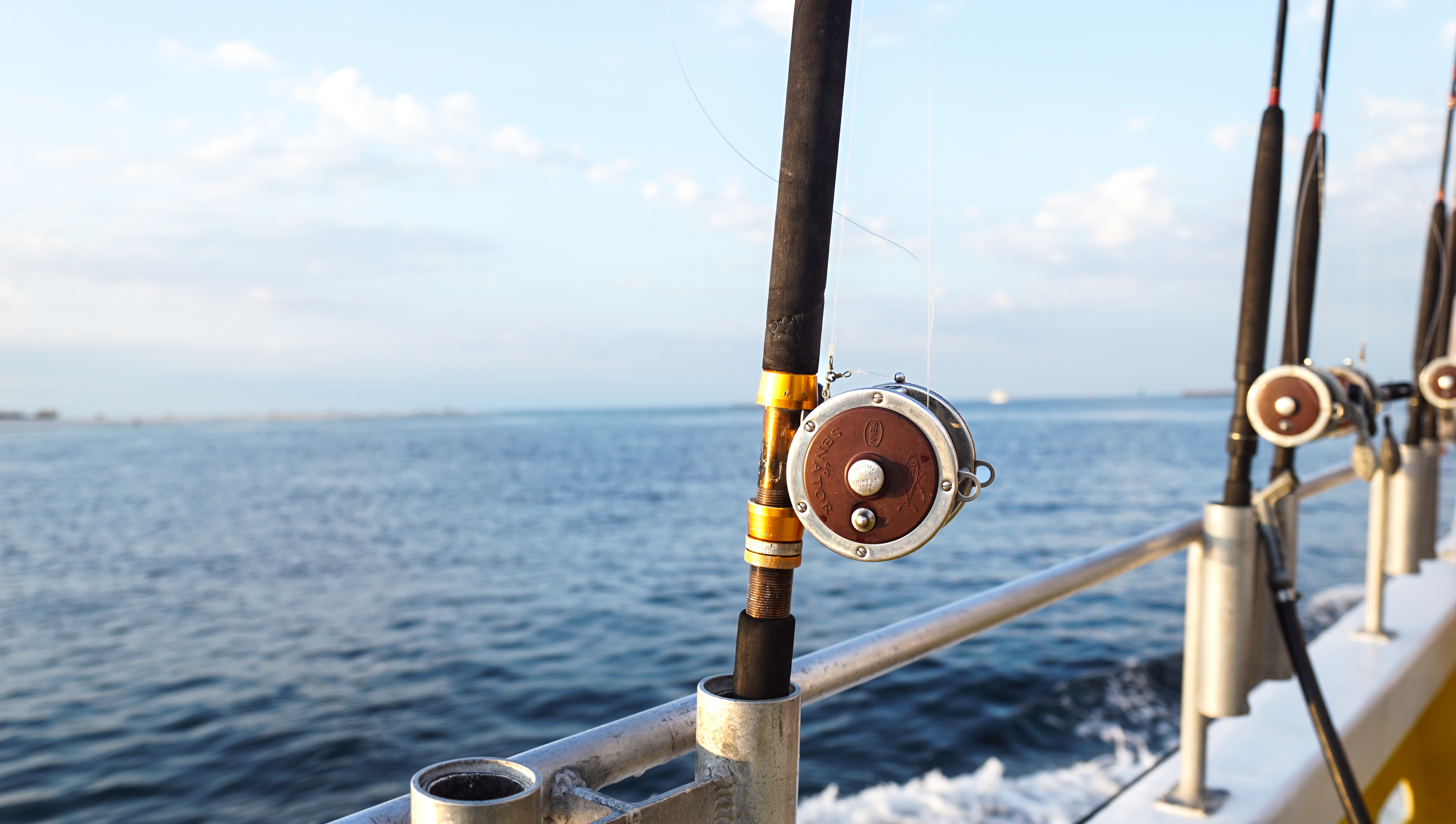 Gulf Coast Fishing - Updated 2024 Prices