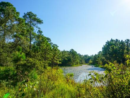 Centennial Trail