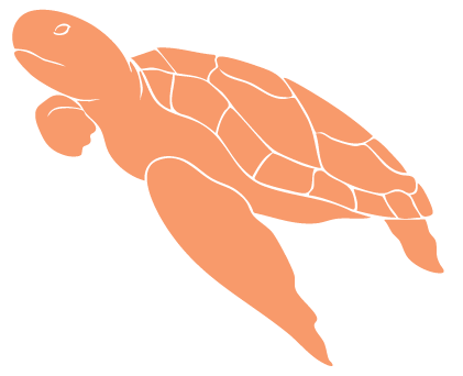 Turtle icon