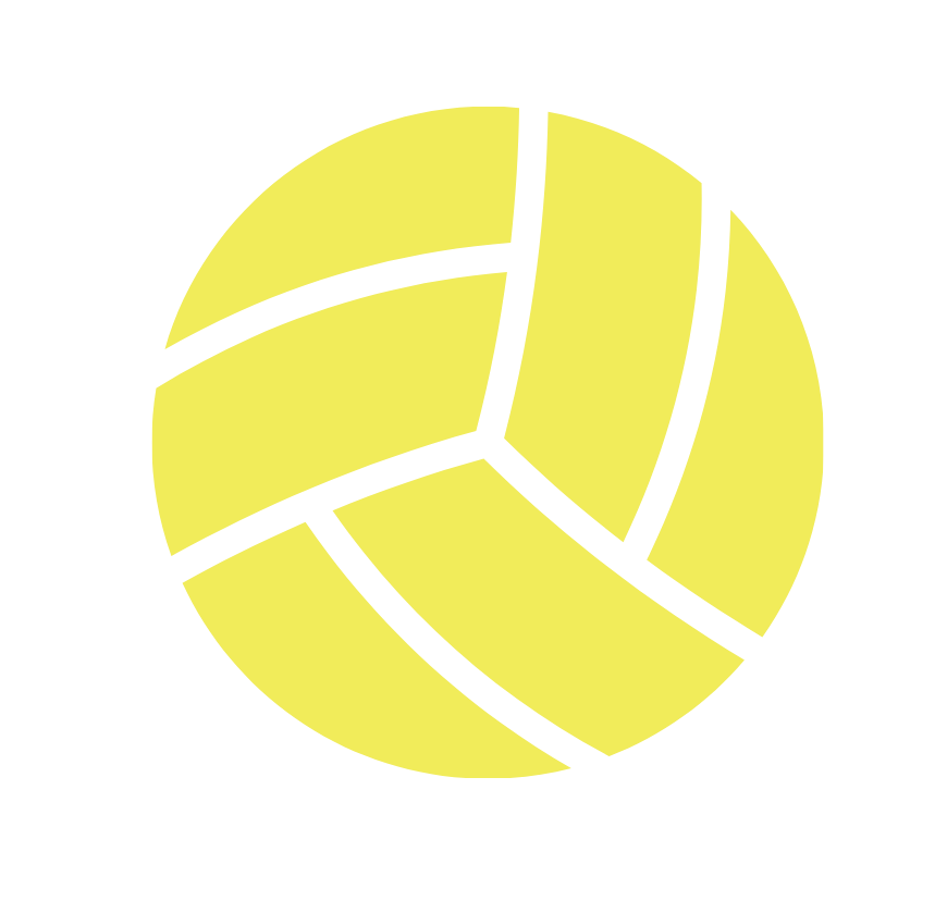 Volleyball Icon