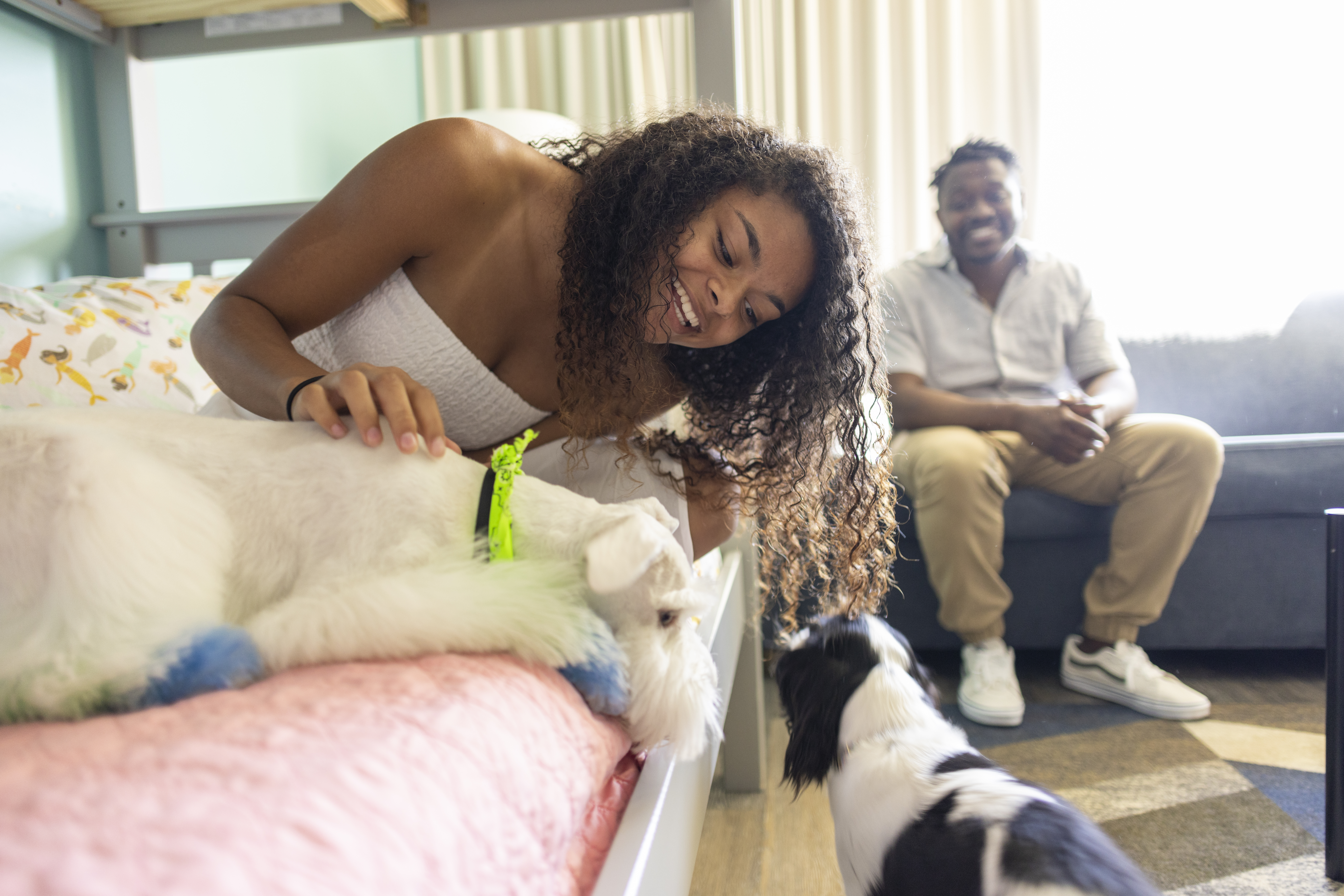 Hotel Indigo Dog Friendly Hotel