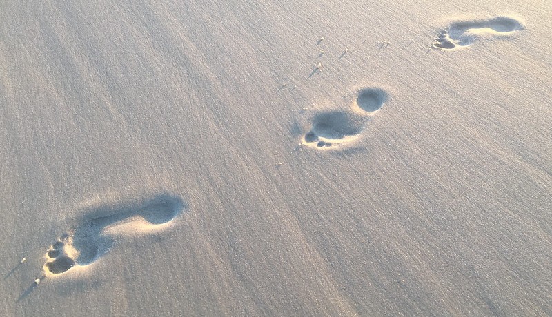 Leave Only Footprints