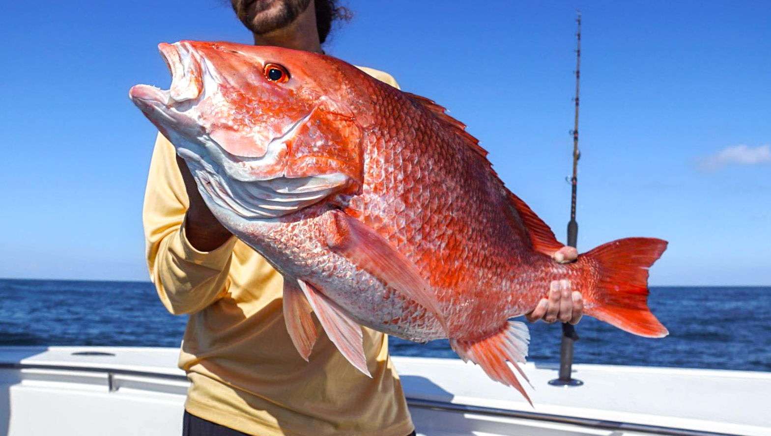 Red Snapper