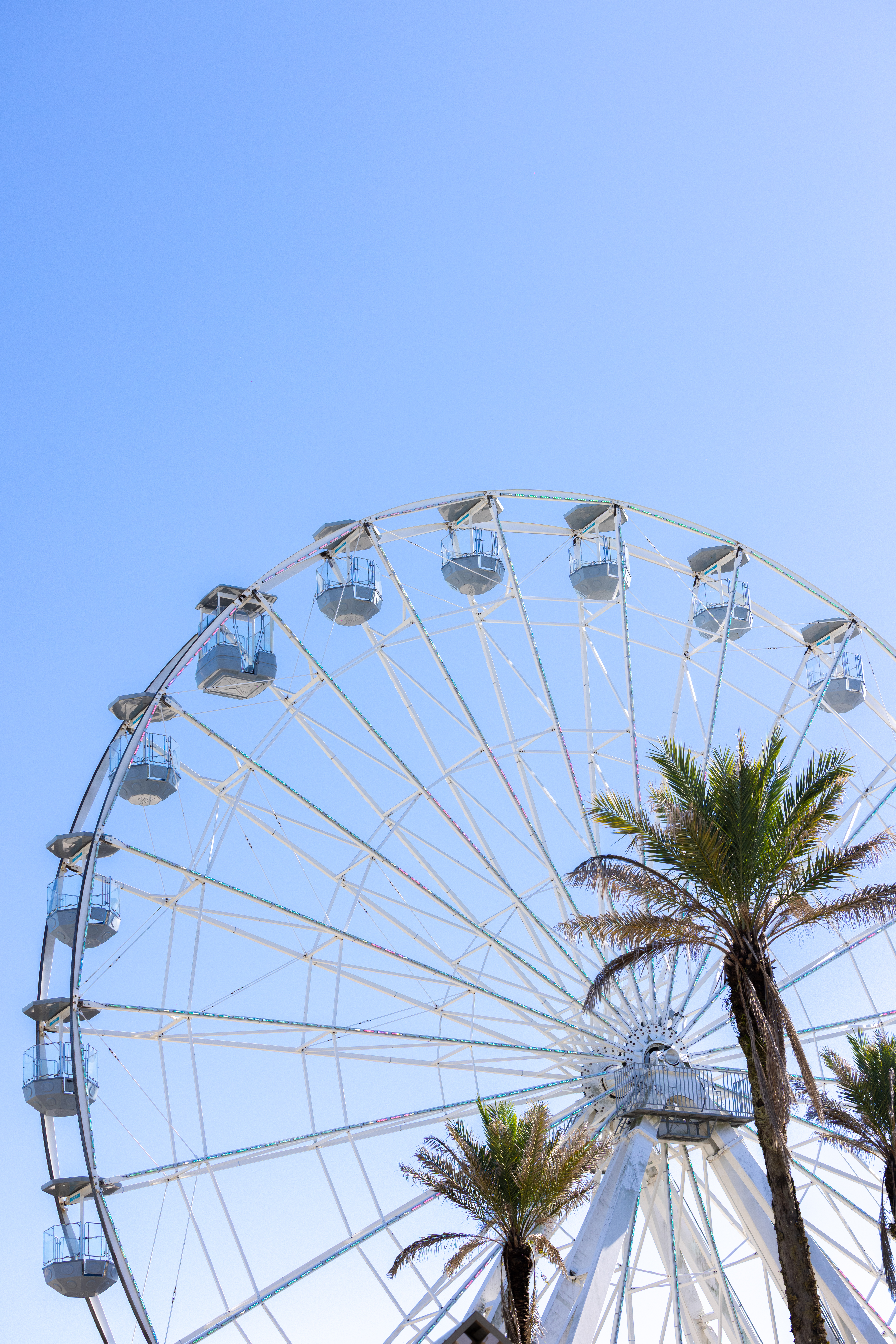 Ferris Wheel at The Wharf
