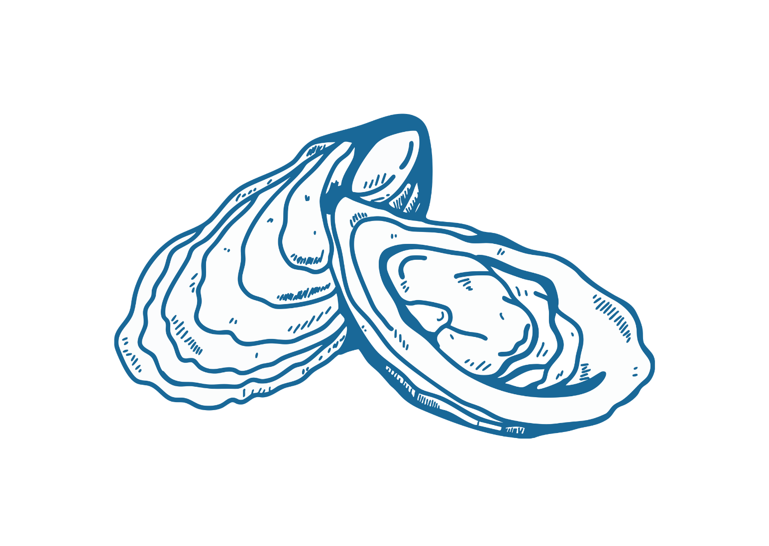 oyster graphic