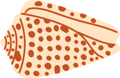 Alabama State Shell Johnstone's Junonia