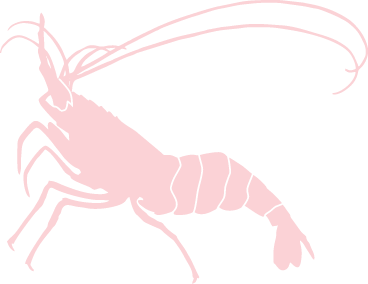 Shrimp Icon