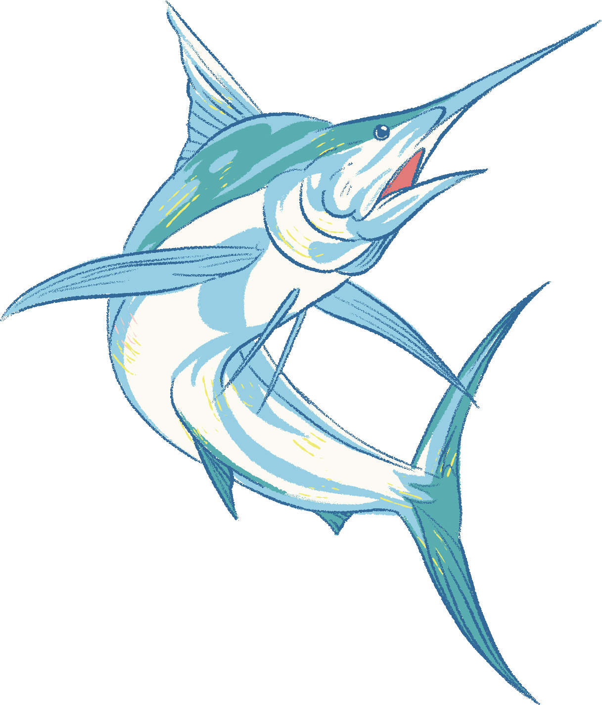 Blue marlin illustration