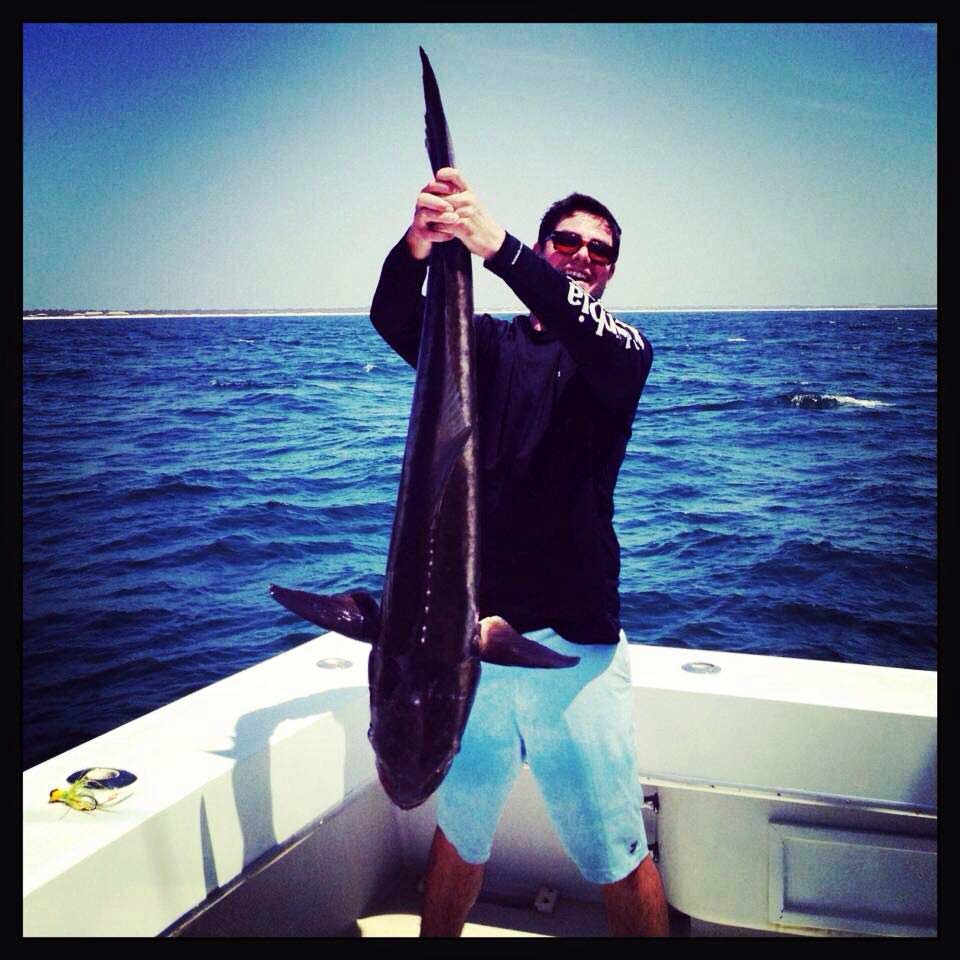 Cobia Orange Beach