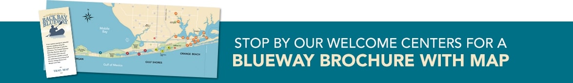 Blueway Brochure