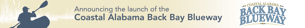 Blueway Banner
