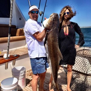 Cobia