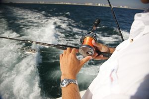 Gulf Coast Charter Fishing 