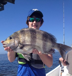 Sheepshead