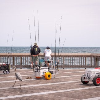 Anglers fishing from the Gulf State Park Pier in Gulf Shores