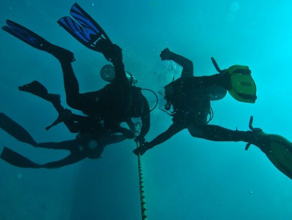 Divers exploring advanced dive spots in Orange Beach