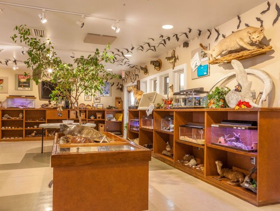 Gulf State Park Nature Center