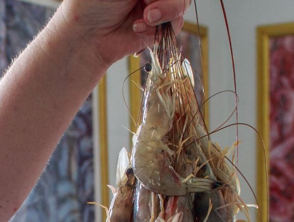 Fresh Gulf shrimp
