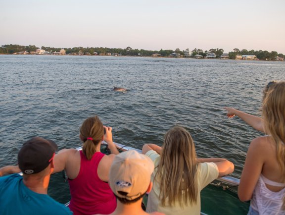Dolphin Cruise Orange Beach