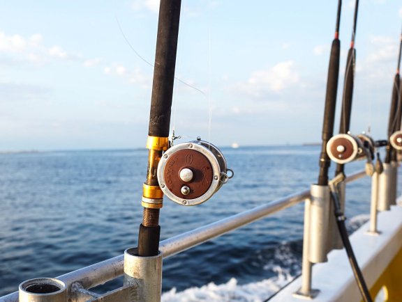 Fishing Rod