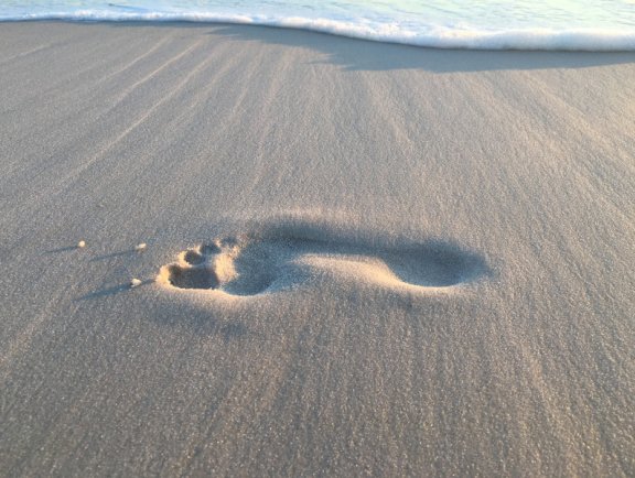 Leave Only Footprints