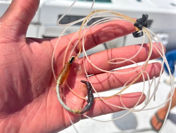 fish hook