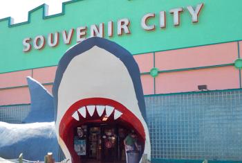 Souvenir City Gift Shop in Gulf Shores AL