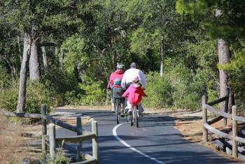 Family Rides bikes on Backcountry Trail
