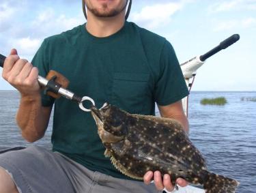Flounder orange beach