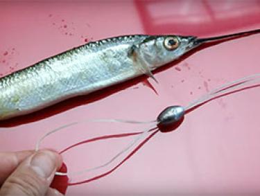 Ballyhoo Fishing Bait