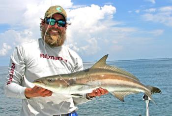 Cobia Fishing, Gulf of Mexico