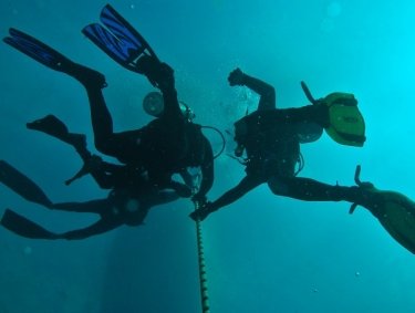 Divers exploring advanced dive spots in Orange Beach