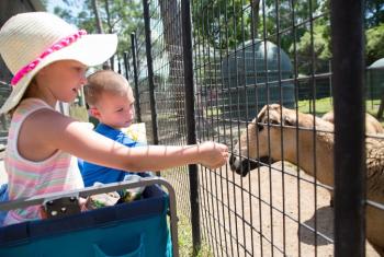 Alabama Gulf Coast Zoo
