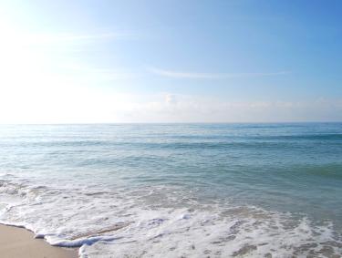 Gulf Shores Public Beach