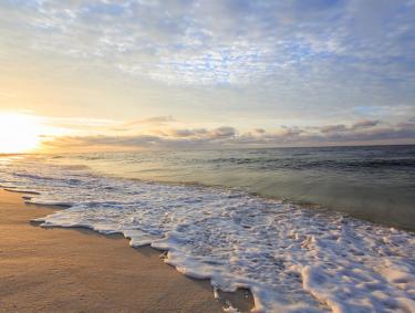 Beaches Gulf Shores Orange Beach, AL