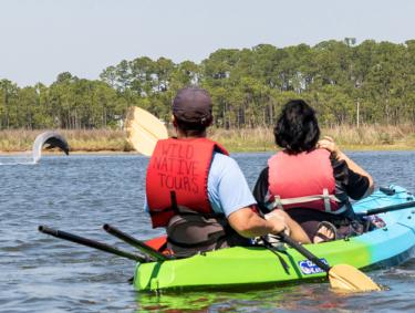WildNative Tours