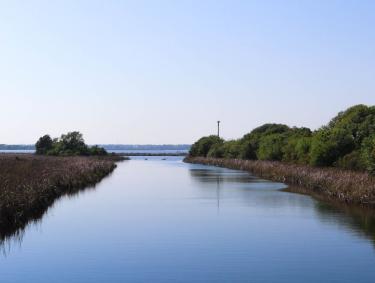 Backcountry Trail Gulf Shores, AL