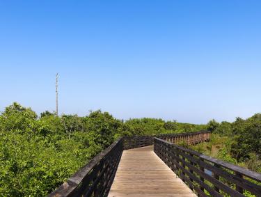 Hugh S. Branyon Backcountry Trail in Gulf Shores, AL