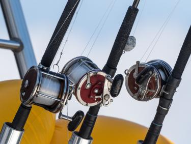 Offshore fishing along Alabama's beaches