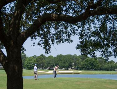 Two guys friends golfing in Gulf Shores, AL