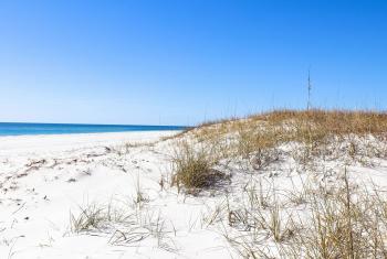 Sand dunes protecting Alabama's beaches