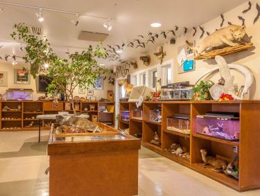 Gulf State Park Nature Center