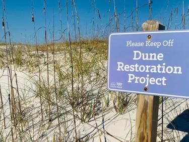 Dune restoration on Alabama's beaches