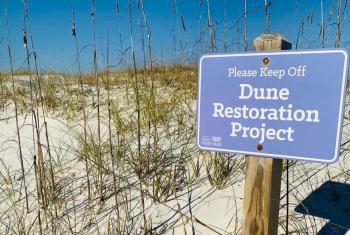 Dune restoration on Alabama's beaches