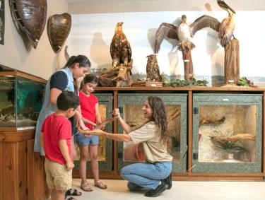 Gulf State Park Nature Center