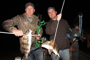 Bowfishing in Gulf Shores, AL
