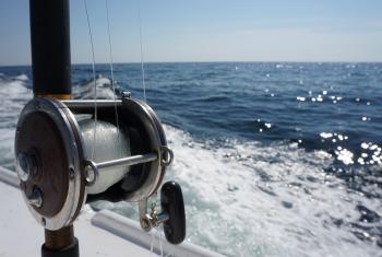 Fishing reel on a charter fishing trip