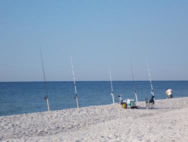 Surf Fishing Gulf Shores